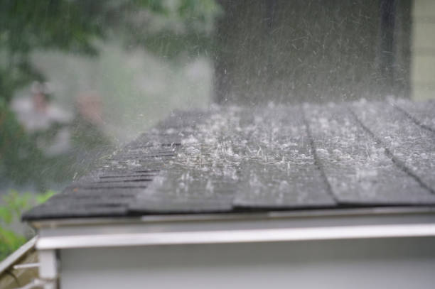 Best Skylight Installation and Repair  in Pleasantville, NJ
